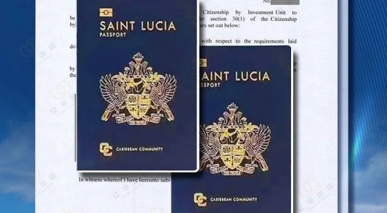 1774837561150091.png image.png